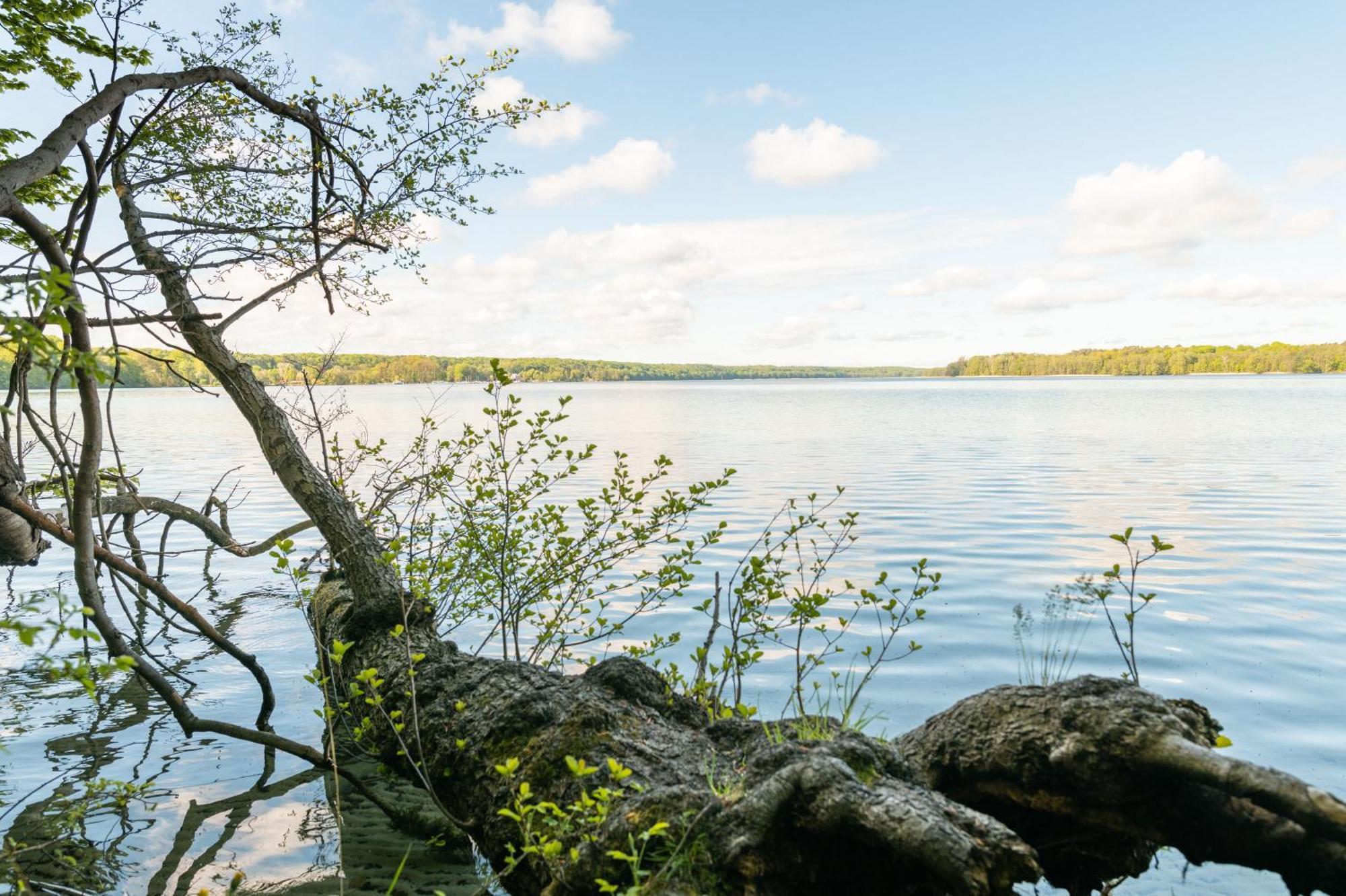 Budget Seezeit-Resort Am Werbellinsee Altenhof  ภายนอก รูปภาพ